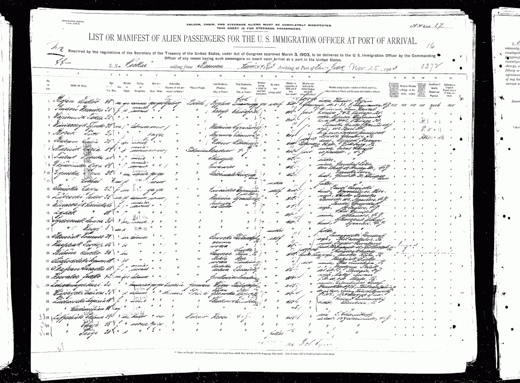Tekla Wapiennik Ellis Island Manifest